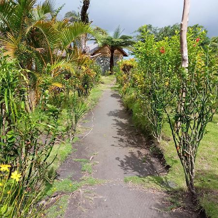 Yasur View Bungalows Loanengo エクステリア 写真